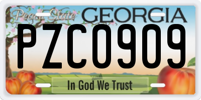 GA license plate PZC0909