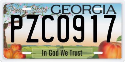 GA license plate PZC0917