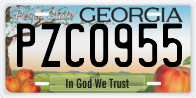 GA license plate PZC0955