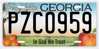 GA license plate PZC0959