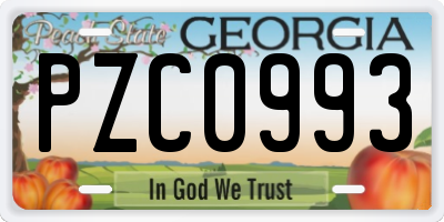 GA license plate PZC0993