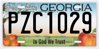 GA license plate PZC1029