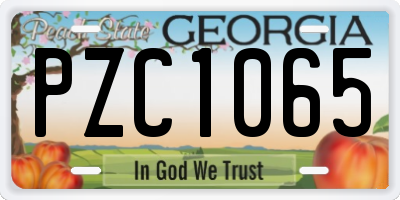 GA license plate PZC1065