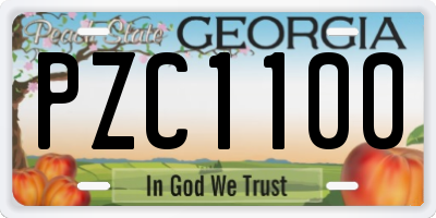GA license plate PZC1100