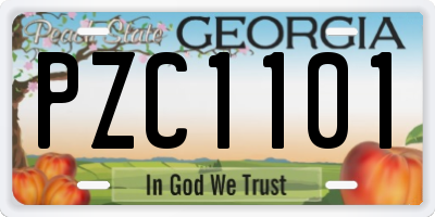 GA license plate PZC1101