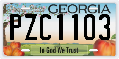 GA license plate PZC1103