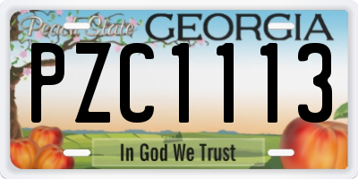 GA license plate PZC1113