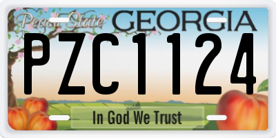 GA license plate PZC1124