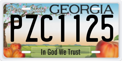 GA license plate PZC1125
