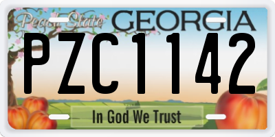 GA license plate PZC1142