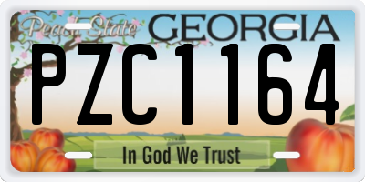 GA license plate PZC1164