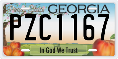 GA license plate PZC1167