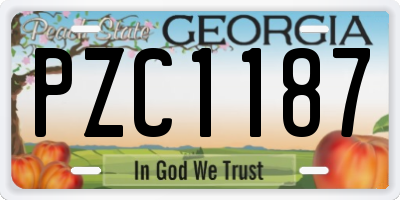 GA license plate PZC1187