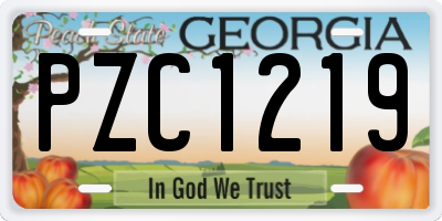 GA license plate PZC1219