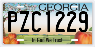 GA license plate PZC1229