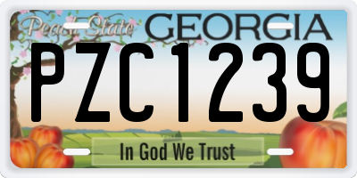 GA license plate PZC1239