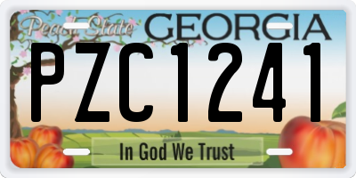 GA license plate PZC1241