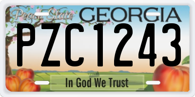 GA license plate PZC1243