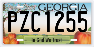 GA license plate PZC1255