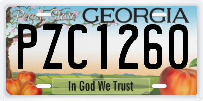 GA license plate PZC1260
