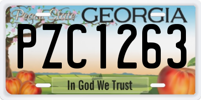 GA license plate PZC1263