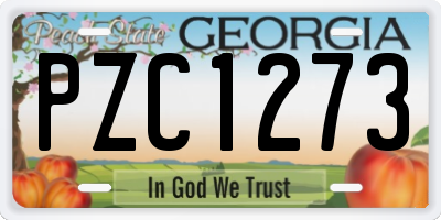 GA license plate PZC1273