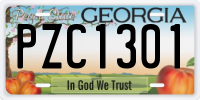 GA license plate PZC1301