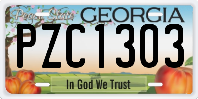 GA license plate PZC1303