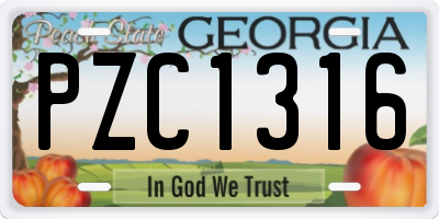 GA license plate PZC1316