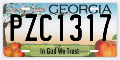GA license plate PZC1317