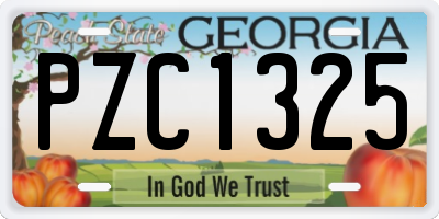 GA license plate PZC1325