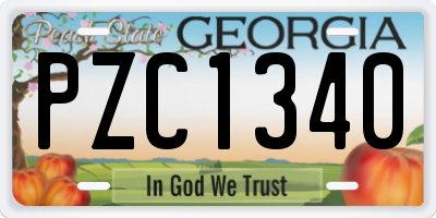 GA license plate PZC1340
