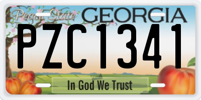 GA license plate PZC1341
