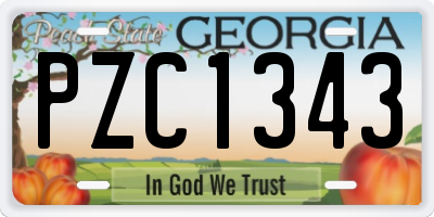 GA license plate PZC1343