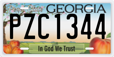 GA license plate PZC1344