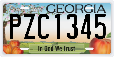 GA license plate PZC1345