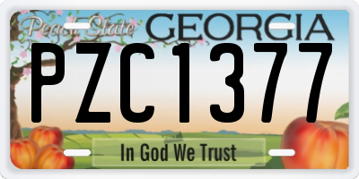 GA license plate PZC1377