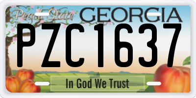 GA license plate PZC1637
