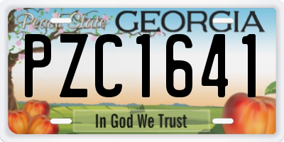 GA license plate PZC1641