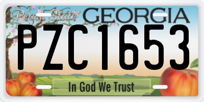 GA license plate PZC1653