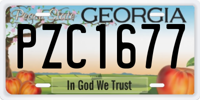 GA license plate PZC1677