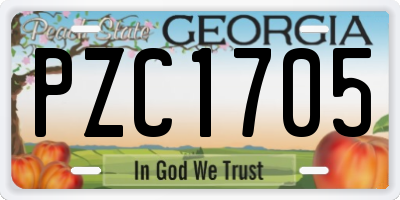 GA license plate PZC1705