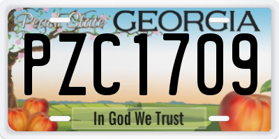 GA license plate PZC1709