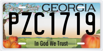 GA license plate PZC1719