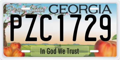GA license plate PZC1729