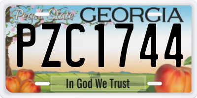 GA license plate PZC1744