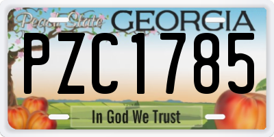 GA license plate PZC1785