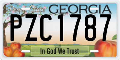 GA license plate PZC1787