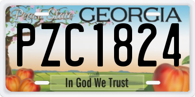 GA license plate PZC1824