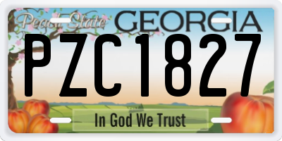GA license plate PZC1827